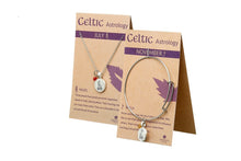 Load image into Gallery viewer, SILVER PLATE FEBRUARY ASTROLOGY PENDANT
